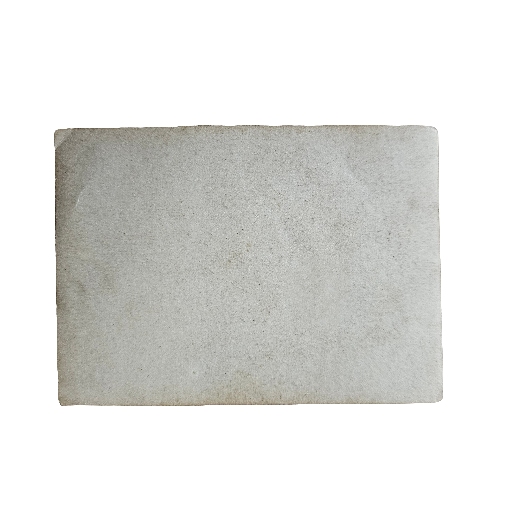 Sepia Old Photograph Family Gathering Generational Photo Vintage 9 x 6