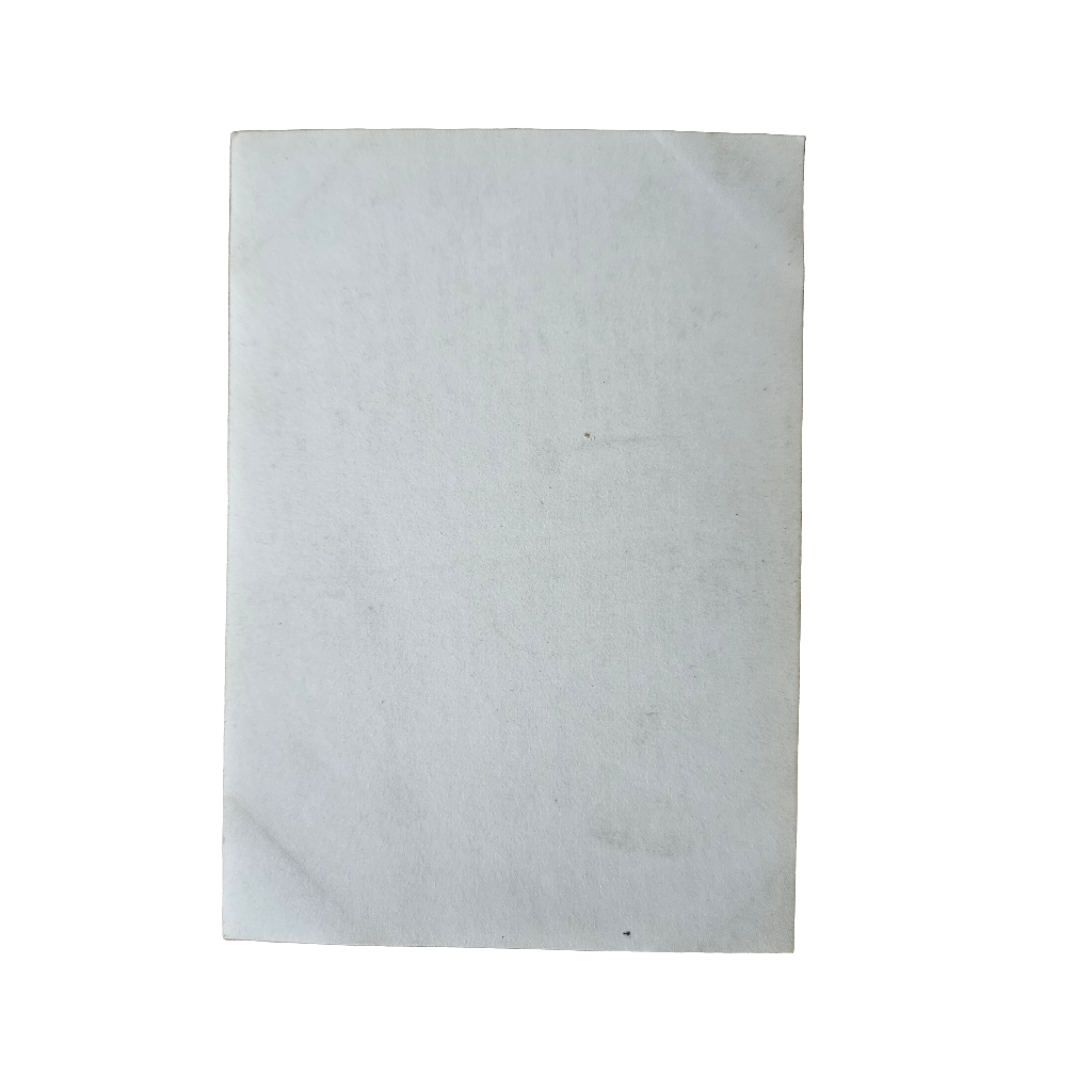 Old Photograph Child With Pram Vintage Garden Photo England 30s