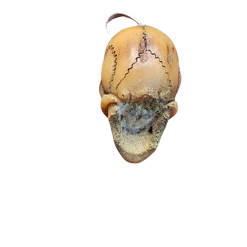 Large Carved Bone Skull Pendant For Necklace 925 Antique Memento Mori Jewellery