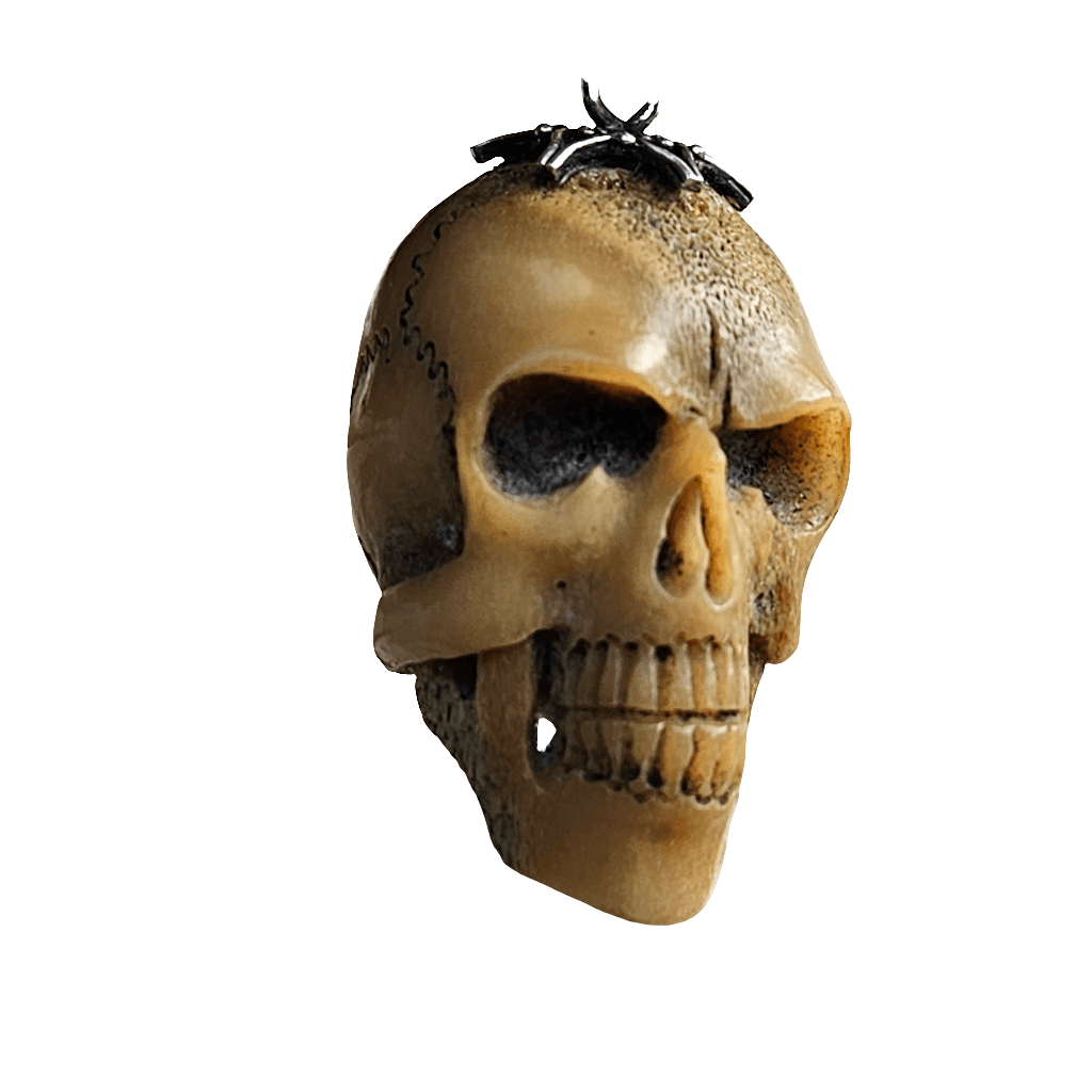 Large Carved Bone Skull Pendant For Necklace 925 Antique Memento Mori Jewellery
