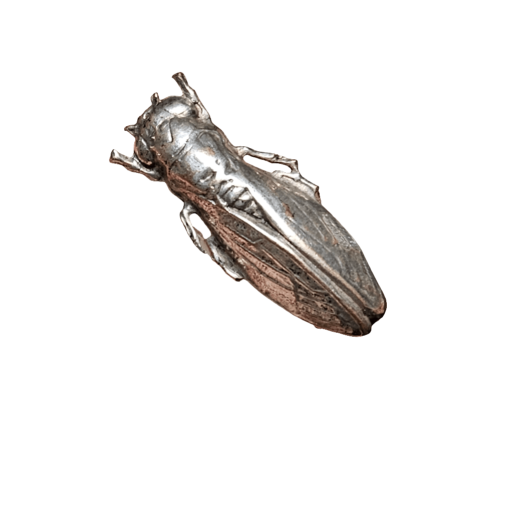 Stunning Antique Cicada Brooch Insect Jewellery Pin Vintage Jewelry